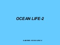 Ocean Life 2