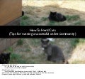 How To Herd Cats (tips on running a successful online community) - Oxford Geek Night 16