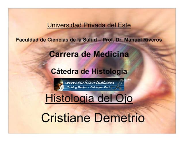 ANATOMIA DEL OJO