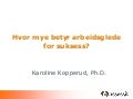 Omdømmedagen 2012: Karoline Kopperud "Hvor mye betyr arbeidsglede for suksess?"