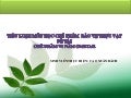 Chế phẩm sinh học bảo vệ thực vật: chế phẩm vi nấm OMETAR