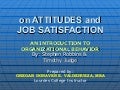 On Attitudes and Job Satisfaction