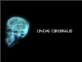 Ondas Cerebrales