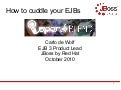 How to cuddle your EJBs, Carlo de Wolf