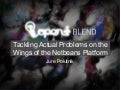 Tackling Actual Problems on the Wings of the Netbeans Platform, Jure Polutnik