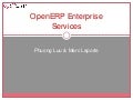 OpenERP - Enterprise Services