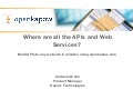 Openkapow At Mashup Camp 5