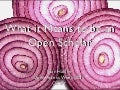 What it Means to be an Open Scholar