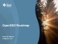 OpenSSO Roadmap Aquarium