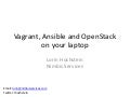 Vagrant, Ansible, and OpenStack on your laptop