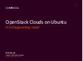 Openstack in action2   canonical - openstack cloud on ubuntu it is happening now 31 -05-12