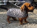 HTML5 battles still to be won