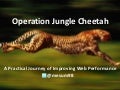 Web Performance Optimisation at times.co.uk