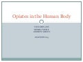 Opiates In The Human Body