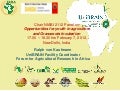 Opportunities for youth in agriculture and grassroots incubation