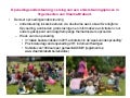 Opvoedingsondersteuning 2