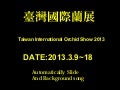 Orchid show 2013 in taiwan(1)