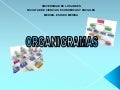 Organigramas 