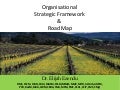 Organisational strategic framework & road map