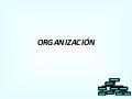 Organizacion