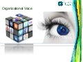 Organizational Voice