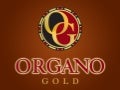Organo gold-prezentace-marketing plán-cz