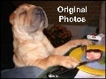 Original Photos