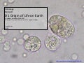 IB Biology Option D.1: Origin of life