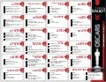 Oscar Ballot