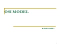 OSI Model