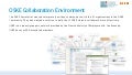 Oske zipipop collaboration_enviroment_project_summary_february_2012