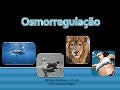 Osmorregulação