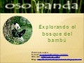 Osopanda