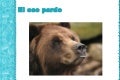 Oso pardo