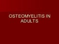 Osteomyelitis In Adults