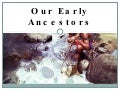 Our early ancestors