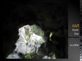 Out from the darkness - China Truths