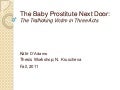 Kate D&rsquo;Adamo, Thesis Outline