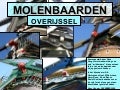 OVERIJSSELSE MOLENBAAARDEN