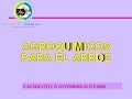 Agroquimicos para el Arroz