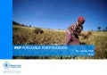 PAA Africa Programme Inception Workshop - P4P presentation