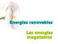 P7 e1 cristinaleis
