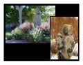 Getting More Bling for Less "Cha-Ching": Making the Most Out of Plant Purchases for Displays Part 4