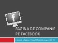 Pagina de companie pe Facebook - Basic