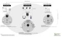 Paid, Earned and Owned Media Framework