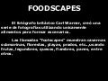 Paisajes con Alimentos