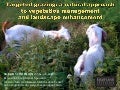 Targeted grazing