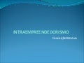 Intraempreendedorismo