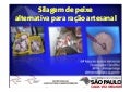 Silagem de peixe alternativa para ração artesanal