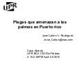 Plagas que amenazan a las palmas en Puerto Rico – Dr.  José C. Rodrigues